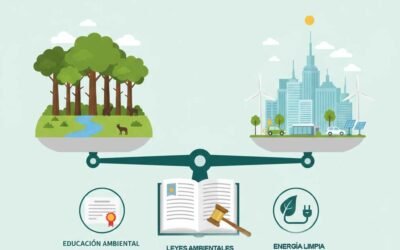 La Política Ambiental en México: Retos y Mecanismos de Aplicación